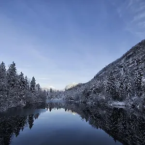 Yoho - International Youth , Salzbourg Autriche